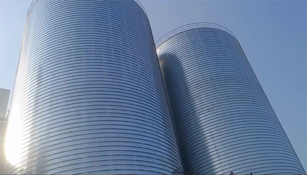 珙县2座混凝土高架卷板仓